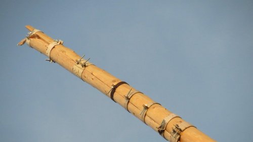 IMG_6051.jpg